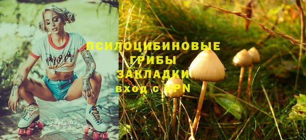 первитин Алексин