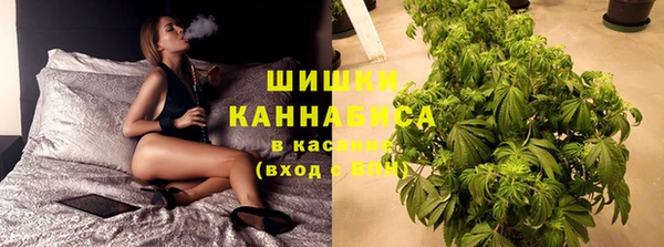 ПСИЛОЦИБИНОВЫЕ ГРИБЫ Абдулино
