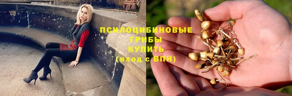 ПСИЛОЦИБИНОВЫЕ ГРИБЫ Абдулино