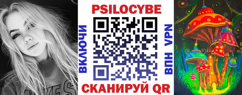 Галлюциногенные грибы Psilocybe Северодвинск